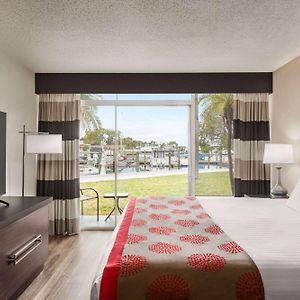 Chambre Lit King-Size